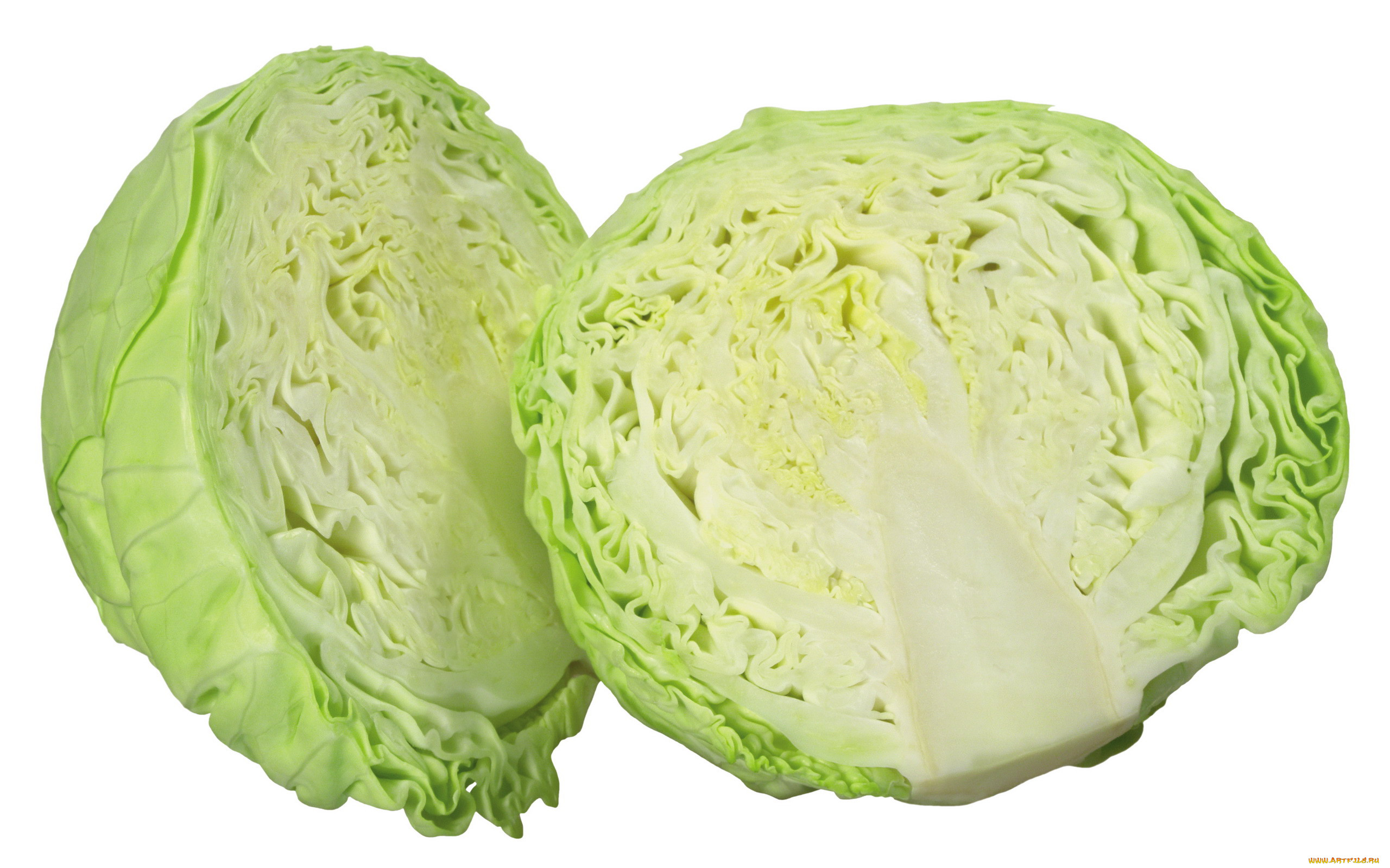 ,    , , , , 
